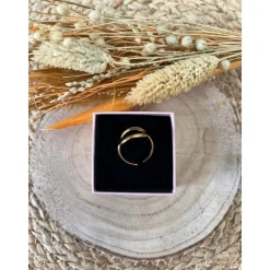 BAGUE CÉDRIC