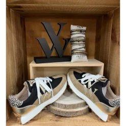 BASKETS PIA