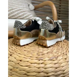 BASKETS PIA