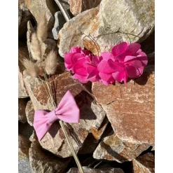 BOUCLES D'OREILLES ABBY ROSE CLAIR