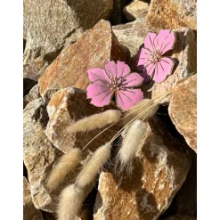 BOUCLES D'OREILLES ROSA ROSE