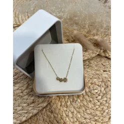 COLLIER ABRIEL