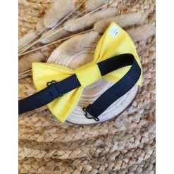 NOEUD PAPILLON - CITRON